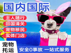 吐鲁番交河航空货运国际宠物托运 【国
